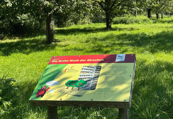 Image - Kirschpfad 3