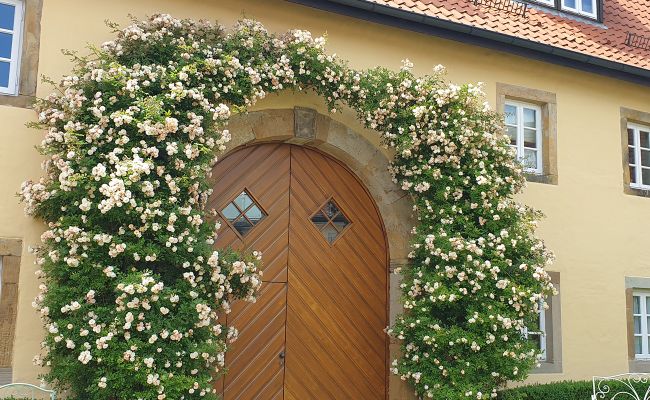 Image - Neue Bestuhlung für die Klosterpforte Oesede